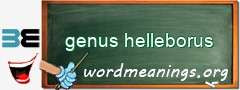 WordMeaning blackboard for genus helleborus